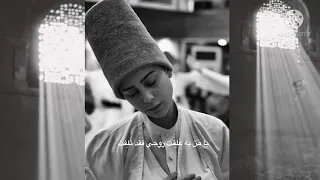 لبيك لبيك يا سري  كلمات الحلاج  دندنها