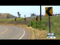 Two killed in crash near Hwy 166 near Santa Maria
