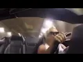 stan twitter trisha paytas speeding to Don t Start Now