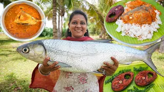 GIANT MILK FISH CURRY | Two Delicious Recipes 😋👌 Simple Fish Curry 🐟 Fry Cooking