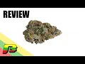 Gelato Weed Review BammerTV