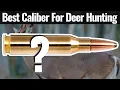 Beste kaliber voor hertenjacht - deel 3: De algehele winnaar(s)