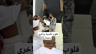 مكة المكرمة المدينة المنورة الحج الحجر الاسود العمرة السعودية العراق دبي التغطيه اندونيسيا 