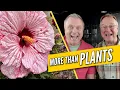 There s a Lot More to Garden Centers Than Plants