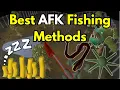 The 5 Best AFK Fishing Methods in OSRS