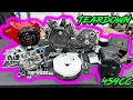 Harbor Freight 459cc Predator Max Performance Teardown