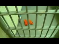 Pike County Jail struggles to stay staffed forced to move inmates