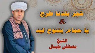 اللي يحبه النبي يلقي الرضا حاله  شجر بلدنا طرح   يا حمام بتنوح ليه    الشيخ مصطفي جمال دندنها