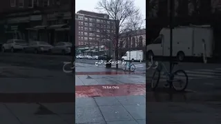 ذبل وردك في بستاني تصميمي 