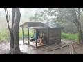 Download Lagu Camping hujan deras bersama anak istri di rumah bambu sayur melimpah 