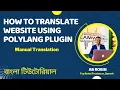 How To Translate Website Using Polylang Plugin Website Manual Translation AB Robin