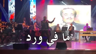 زهير فرنسيس   ما في ورد دندنها