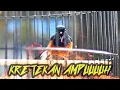 Download Lagu KRETEKAN dan Suara Awalan Murai Batu F3 Pendongkrak EMOSI