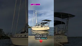 Sailing Value! 💰 Island Packet ⛵️ Or Battle Axe! 🪓 #islandpacket #ytshorts #sailing #advice