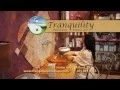 Tranquility Mind Body Wellness Spa - Oasis-1 mov
