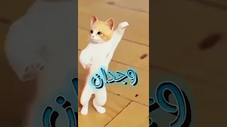 حسب الطلب وجدان  الجزائر  عمان  السعودية  العراق  امارات  مصر  تركيا  الهند  الامارات دندنها