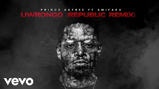 prince kaybee ami faku uwrongo republic remix visualizer 