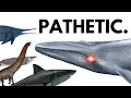 Is There An Animal Bigger Than The Blue Whale