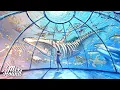 Download Lagu Chillstep | Nomyn \u0026 Veela - Caught in a Dream