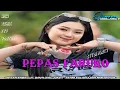 DJ PEPAS FARUKO || STYLE PARTY COCOK BUAT KARNAVAL •DJ DAVA DISCJOKEY