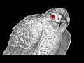U Got That | Swordbird Version [MV]