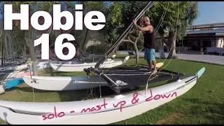 Single handed mast raising with the Mast Hinge