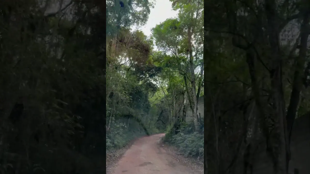 QUE SERÁ SERÁ ?