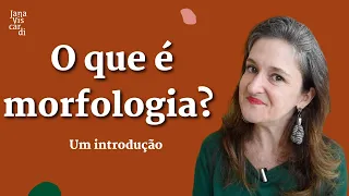 O QUE É MORFOLOGIA? | O QUE É? | JANA VISCARDI