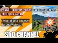 Download Lagu SP LINTAS BUKIT ORI || @ShD_Channel