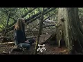 Turėjo liepa devynias šakas - Sutartinė played on Treeharp