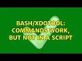 Commands work but not in a script 2 Solutions