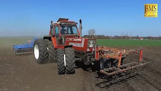                                                                                                      دندنها