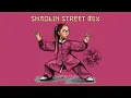 Download Lagu SHAOLIN STREET DANCE MIXTAPE | SEYI VIBEZ | REMA | FELA2 | MY SON| DJ YK MUE| DANNY S | DAPRINZE