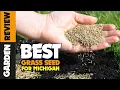 Best Grass Seed for Michigan - An Useful Products Guide