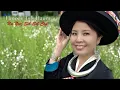 Download Lagu Hmoov Tsis Sib Haum Ua Neej Sib Sib Ceg~07/13/2025~