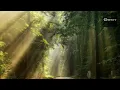 Lykke Li - No Rest For The Wicked (Joris Voorn Remix)