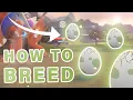 How to BREED Pokemon Eggs Pokemon Scarlet Violet