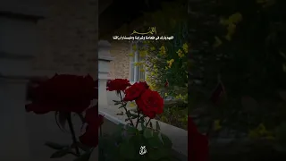 اللهم اجعل بيتي بيت رحمة دعاء البركة دعاء مستجاب Quran اللهم  اللهم اجعل بيتي بيت رحمة دعاء البركة دعاء مستجاب Quran اللهم