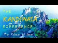 Download Lagu Travel Video // The Beauty of KANDIWATA ISLAND of Daram Samar