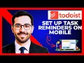 How To Set Up Task Reminders On TODOIST Mobile Complete 2025 Guide