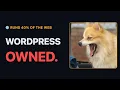 The WordPress bug that could hijack 40 of the internet