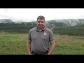 How to Safely View Pennsylvania Elk Herd