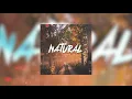 Disktrack - Natural