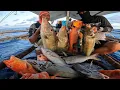 Download Lagu JACKPOT traditional kitang D'lubid/longline fishing