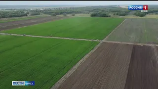 Омские аграрии отмечают День сельхозработника