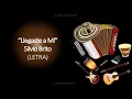 Silvio Brito - Llegaste A Mí (Letra)