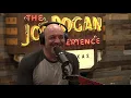Joe Rogan Experience - Jessica Kirson