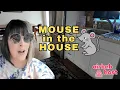 Download Lagu A Mouse In My Airbnb? Now What??