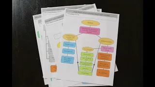 Behavior Plan Flow Charts and Tools