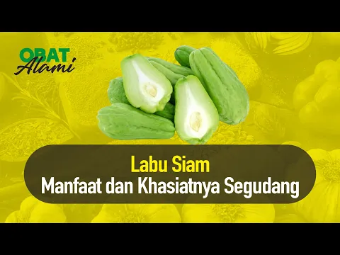 Labu Siam, Manfaat dan Khasiatnya Segudang